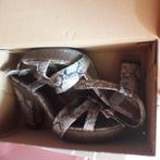 schoenen 38, Tamaris, Schoenen met lage hakken, Bruin, Verzenden