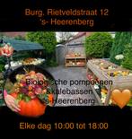 Pompoenen kalebassen, Tuin en Terras, Planten | Tuinplanten, Volle zon, Groenteplanten, Eenjarig, Ophalen of Verzenden