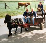 Ponykar, Ophalen, Zo goed als nieuw