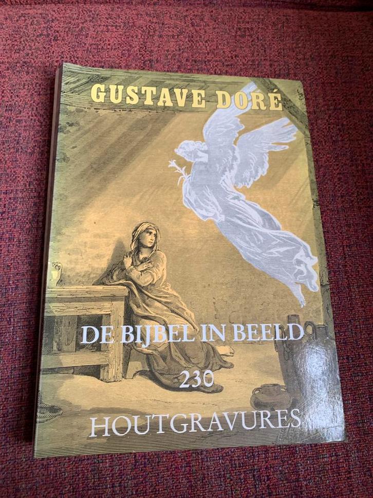 Gustave Doré - De Bijbel in Beeld, Boeken, Godsdienst en Theologie, Gelezen, Christendom | Katholiek, Ophalen of Verzenden