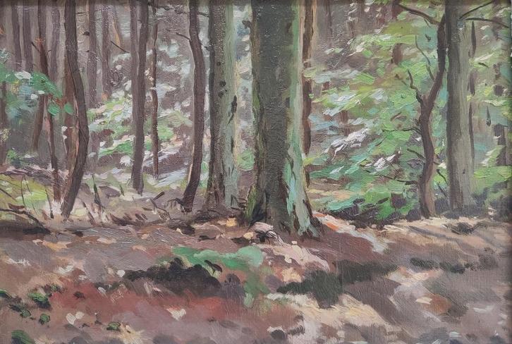 Otto Rudolf Coenders (1883-1952) - Bosgezicht, Antiek en Kunst, Kunst | Schilderijen | Klassiek, Ophalen of Verzenden