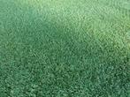 Kunstgras hergebruik, Ophalen, Gebruikt, 20 m² of meer, Kunstgras