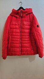 Jas Cecil maat xl, Ophalen of Verzenden, Zo goed als nieuw, Maat 46/48 (XL) of groter, Blauw