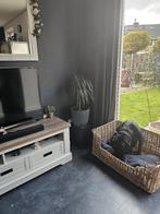 Bulldog kruising bullmastiff, Overige rassen, Rabiës (hondsdolheid), 1 tot 2 jaar, Teef