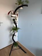 Vintage ,bamboe planten standaard, Ophalen, Halfschaduw, Minder dan 100 cm