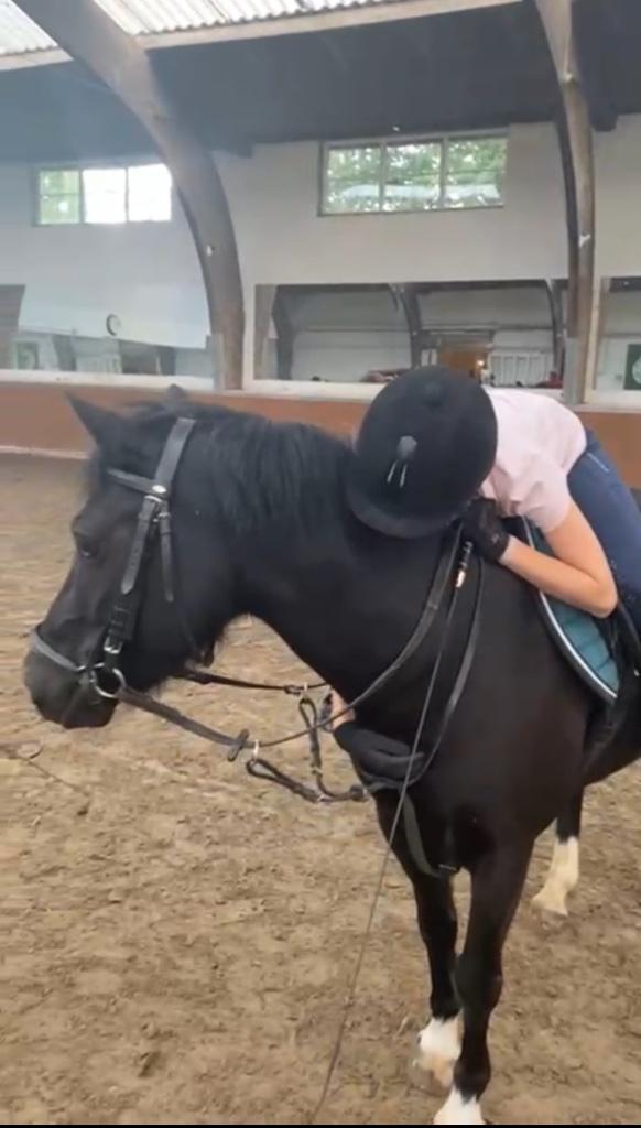 Verzorgpony gezocht :), Dieren en Toebehoren, Paarden en Pony's | Verzorgingsproducten, Nieuw, Ophalen of Verzenden