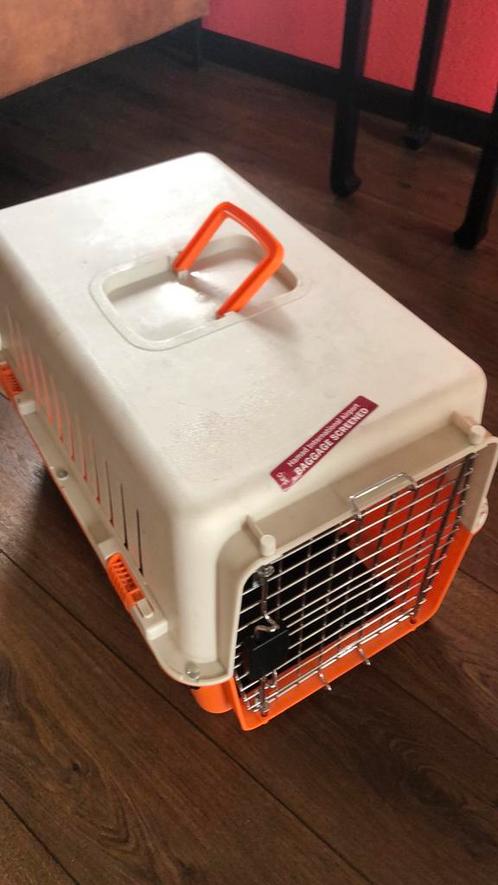 IATA goedgekeurde reismand transportbox reiskennel, Dieren en Toebehoren, Transportboxen, Zo goed als nieuw, Ophalen of Verzenden