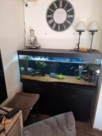 aquarium, Ophalen, Zo goed als nieuw