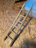 Nieuw trapje / laddertje voor in kooi, Dieren en Toebehoren, Ophalen of Verzenden, Nieuw, Speelgoed