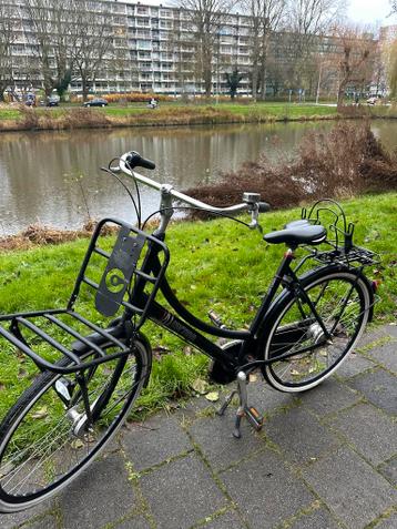 Cortina Roots damesfiets 7 versnellingen 28inch 57cm