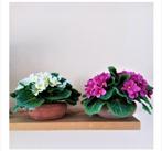 2 kunstbloemen stenen potjes/cyclaam/wit, Huis en Inrichting, Woonaccessoires | Kunstplanten en Kunstbloemen, Ophalen of Verzenden
