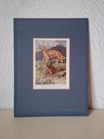 Kunstdruk in passe partout Ierse Setter Golden Retriever, Ophalen of Verzenden