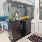Aquarium onderkast, Dieren en Toebehoren, Vissen | Aquaria en Toebehoren, Ophalen, Zo goed als nieuw, Leeg aquarium