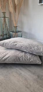 2 grote nieuwe velours woonkussens, Ophalen of Verzenden, Nieuw, Grijs, Rechthoekig