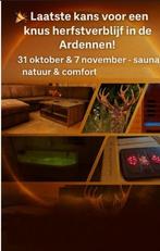 Ardennen 5p last minute regio Vielsalm, Vakantie, 2 slaapkamers, Internet, Landelijk, Eigenaar