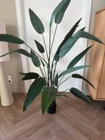 Kunstplant stritzia, Huis en Inrichting, Overige soorten, In pot, 150 tot 200 cm, Groene kamerplant