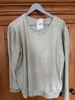 Nieuwe Jola Velours Trui - Maat XXL, Ophalen of Verzenden, Nieuw, Maat 46/48 (XL) of groter, Groen