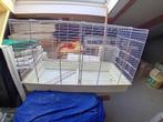 vogelkooi  groot, Dieren en Toebehoren, Vogels | Hokken en Kooien, Ophalen, Gebruikt, Metaal, Vogelkooi