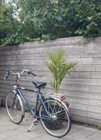 Gazelle heren fiets, Fietsen en Brommers, Ophalen, Gebruikt, Gazelle