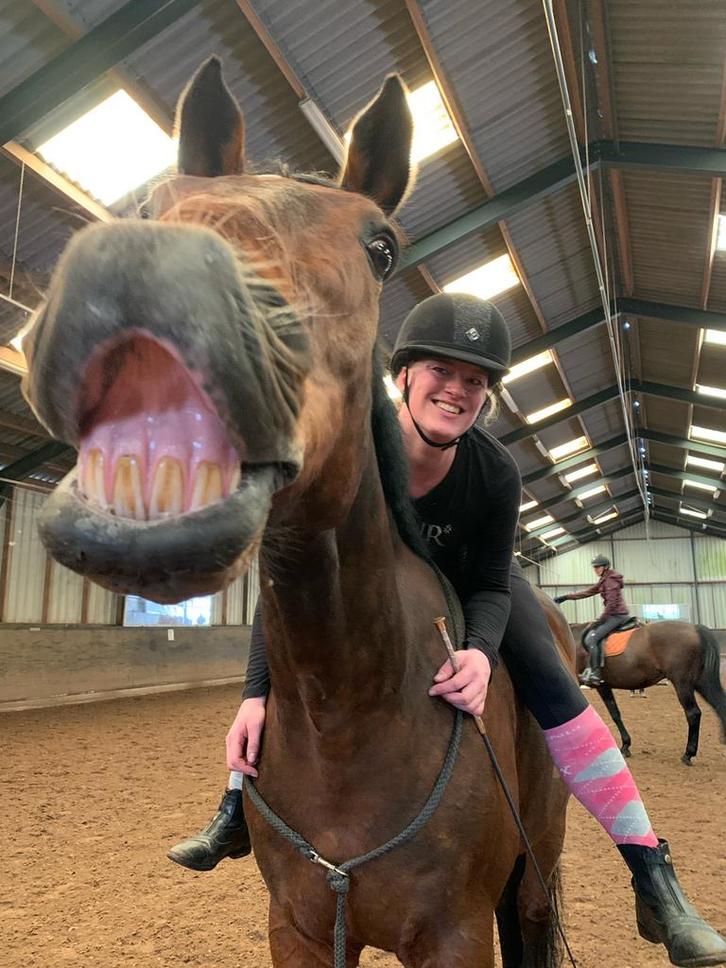 Verzorgpaard gezocht om vertrouwen op te bouwen, Dieren en Toebehoren, Paarden en Pony's | Verzorgingsproducten, Zo goed als nieuw