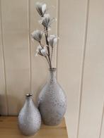 2 vazen+ bloem samen 17, 50 euro vaste prijs alleen ophalen, Ophalen, Overige kleuren, Minder dan 50 cm, Glas