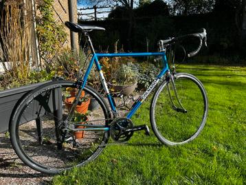 Colnago Master beschikbaar voor biedingen