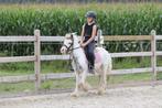 MEGA MEGA BRAVE TINKER PONY, Ruin, Zadelmak, A pony (tot 1.17m), 3 tot 6 jaar