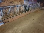 Voerhekken 12 stuks grootvee. GVE 320 cm lang.