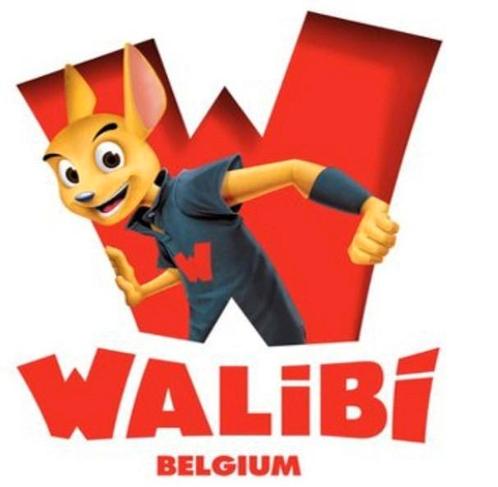 Walibi Belgium 2e kaartje GRATIS, Tickets en Kaartjes, Recreatie | Pretparken en Attractieparken, Drie personen of meer, Kortingskaart
