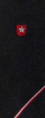 Maastricht stropdas Gemeentewapen blauw, Ophalen of Verzenden, Nieuw, Blauw