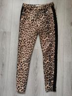 Loavies XS luipaard broek, Bruin, Ophalen of Verzenden, Loavies, Maat 34 (XS) of kleiner