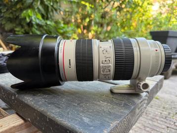 Canon 70-200, F2.8L, IS USM (IZGS) beschikbaar voor biedingen