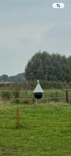 Dazenval (H-Trap), Ophalen, Gebruikt, Info@htrap.nl, Overige soorten