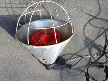 Broedlamp beschikbaar voor biedingen