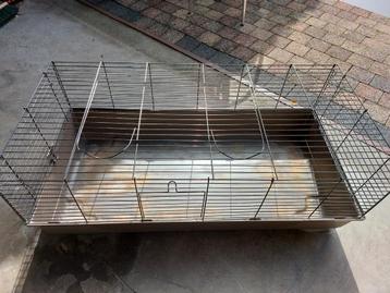 2 caviahokken met alles erop en eraan! beschikbaar voor biedingen