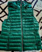 Tommy Hilfiger NIEUWE bodywarmer mt L dons origineel groen, Ophalen, Maat 42/44 (L), Nieuw, Groen