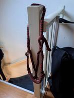 Aangeboden: touwhalster voor b/c pony en grondwerk touw, Dieren en Toebehoren, Ophalen of Verzenden, Overige soorten