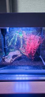 Aquarium superfish 20, Dieren en Toebehoren, Vissen | Aquaria en Toebehoren, Ophalen of Verzenden, Zo goed als nieuw, Leeg aquarium