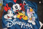 fleece deken disneyland paris 1.60x1.20cm, Verzamelen, Disney, Ophalen of Verzenden, Overige figuren, Zo goed als nieuw, Overige typen