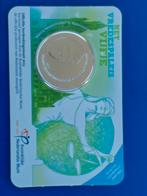 5 Euro Coincard Vredespaleis 2013, Ophalen of Verzenden, Euro's, Losse munt