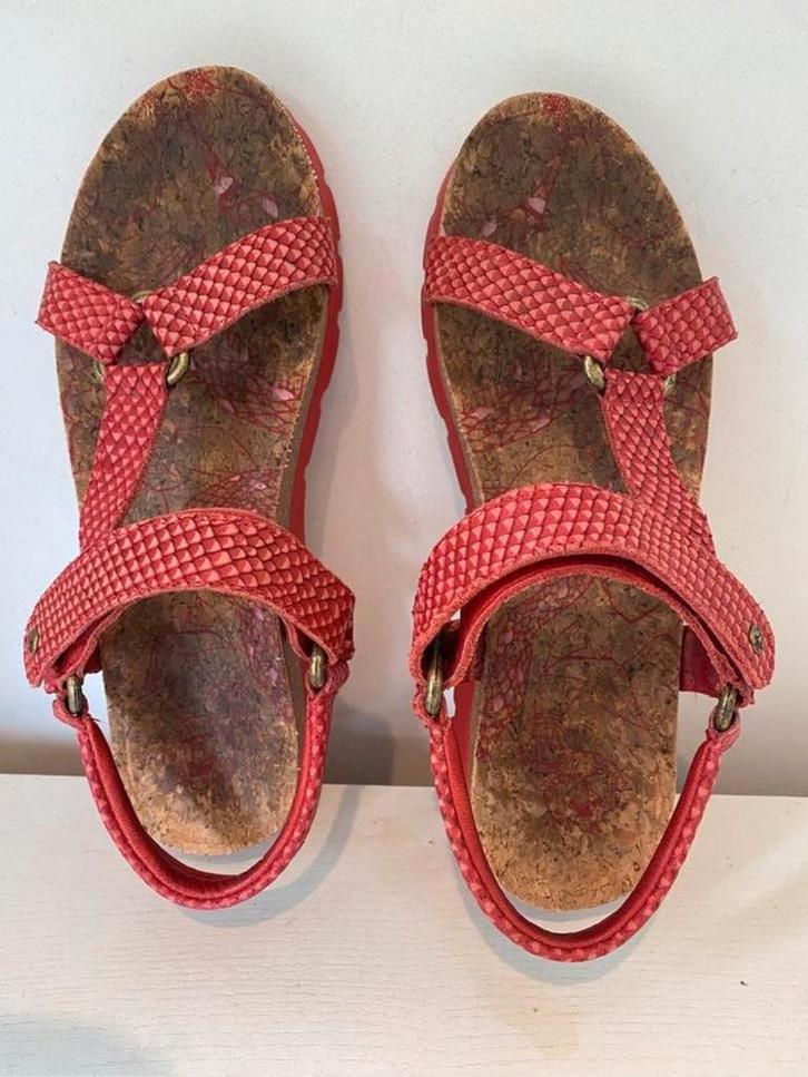 Panama Jack 39, Kleding | Dames, Schoenen, Zo goed als nieuw, Rood, Ophalen of Verzenden