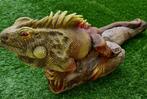 Grote leguaan / sculptuur, Dieren en Toebehoren