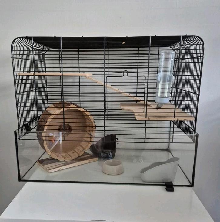 Mooie hamsterkooi met glazen onderbak, Dieren en Toebehoren, Knaagdieren en Konijnen | Hokken en Kooien, Gebruikt, Kooi, Minder dan 60 cm