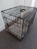 Diverse hondenspulletjes (dwergteckel), Dieren en Toebehoren, Ophalen, Gebruikt