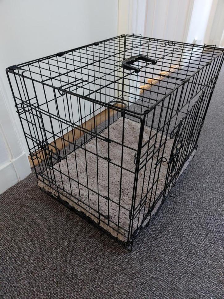 Diverse hondenspulletjes (dwergteckel), Dieren en Toebehoren, Honden-accessoires, Gebruikt, Ophalen