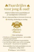 Rijles voor jong en oud!!!, Dieren en Toebehoren, Ophalen of Verzenden