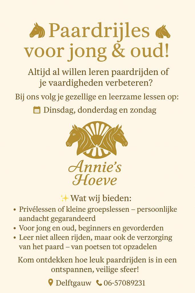 Rijles voor jong en oud!!!, Dieren en Toebehoren, Paarden en Pony's | Verzorgingsproducten, Ophalen of Verzenden