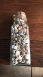 Deco schells, Ophalen of Verzenden