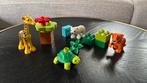 LEGO DUPLO Jonge dieren - 10801, Ophalen, Zo goed als nieuw, Complete set, Duplo