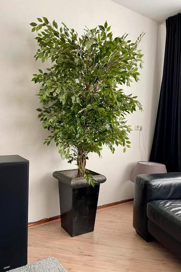 Grote en Levensechte Kunst Plant / Imitatie beschikbaar voor biedingen